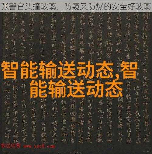 张警官头撞玻璃，防窥又防爆的安全好玻璃