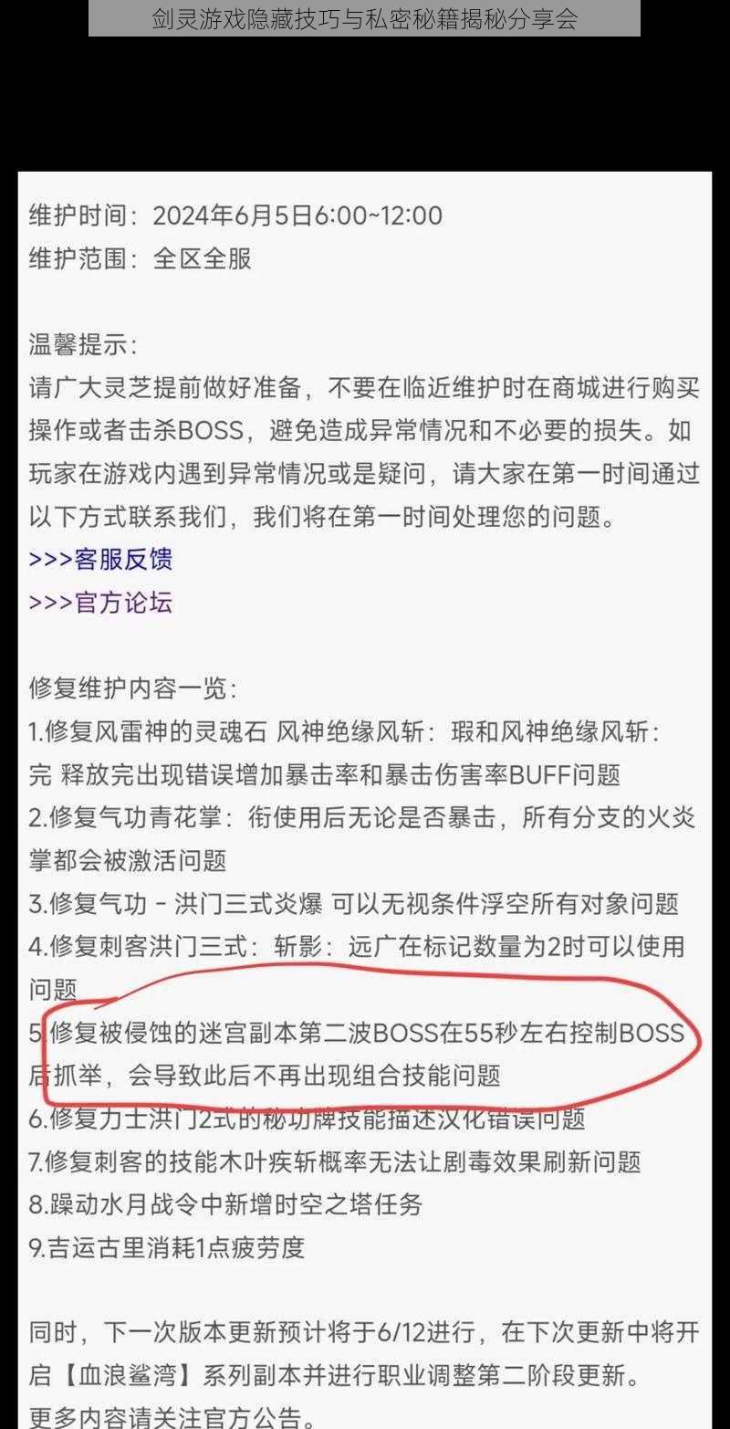 剑灵游戏隐藏技巧与私密秘籍揭秘分享会