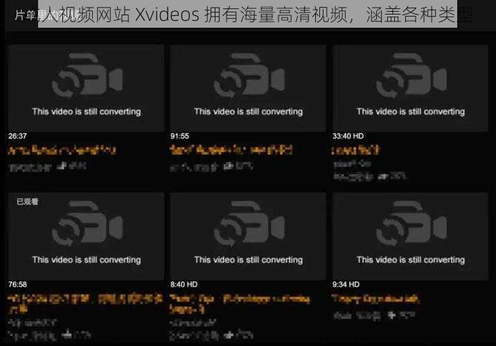 成人视频网站 Xvideos 拥有海量高清视频，涵盖各种类型