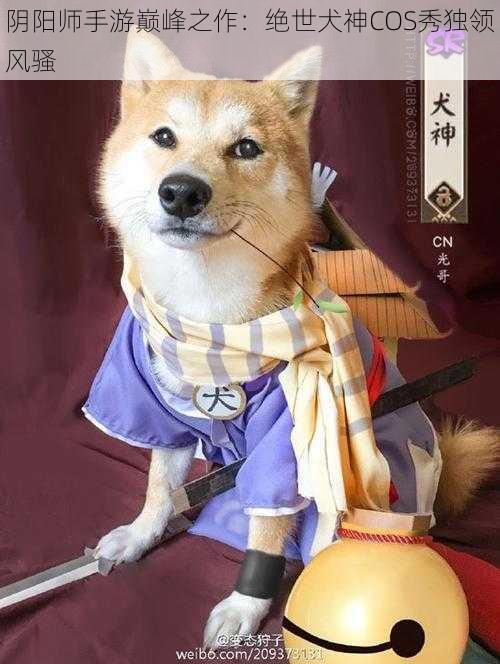 阴阳师手游巅峰之作：绝世犬神COS秀独领风骚