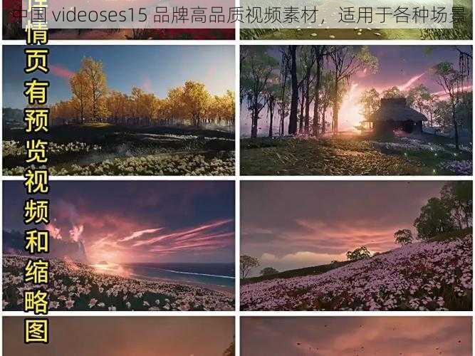 中国 videoses15 品牌高品质视频素材，适用于各种场景