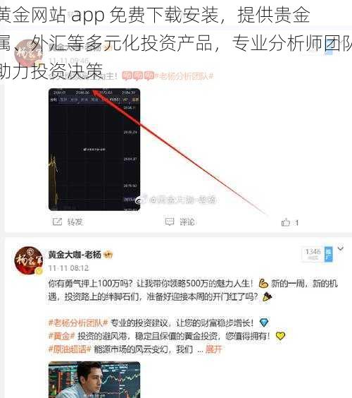 黄金网站 app 免费下载安装，提供贵金属、外汇等多元化投资产品，专业分析师团队助力投资决策