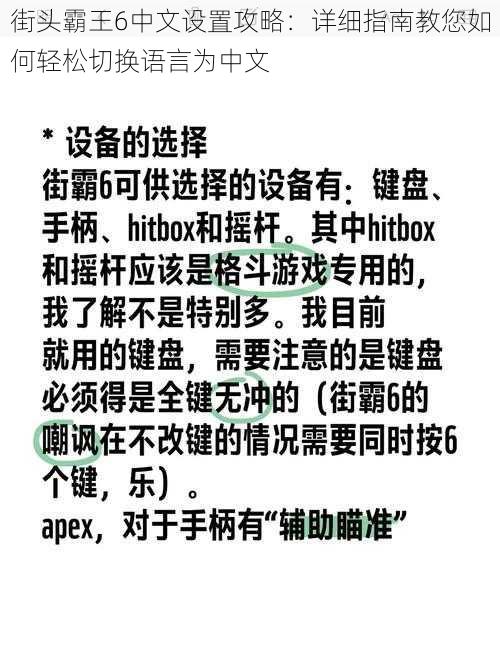 街头霸王6中文设置攻略：详细指南教您如何轻松切换语言为中文