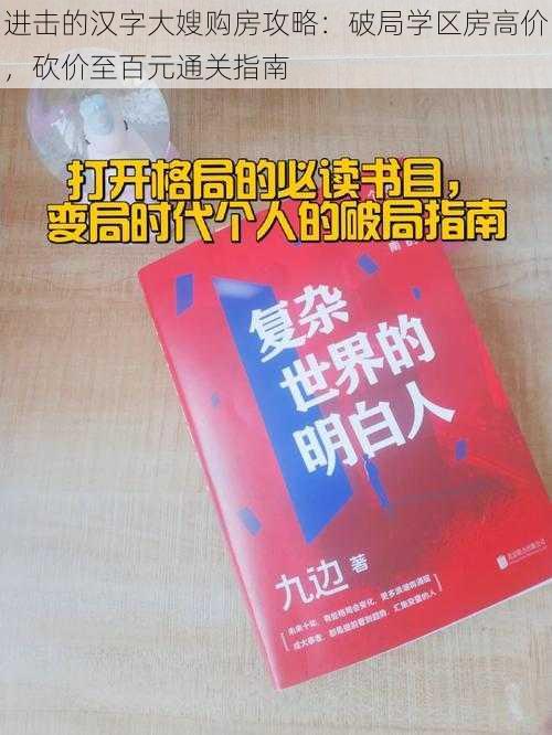 进击的汉字大嫂购房攻略：破局学区房高价，砍价至百元通关指南