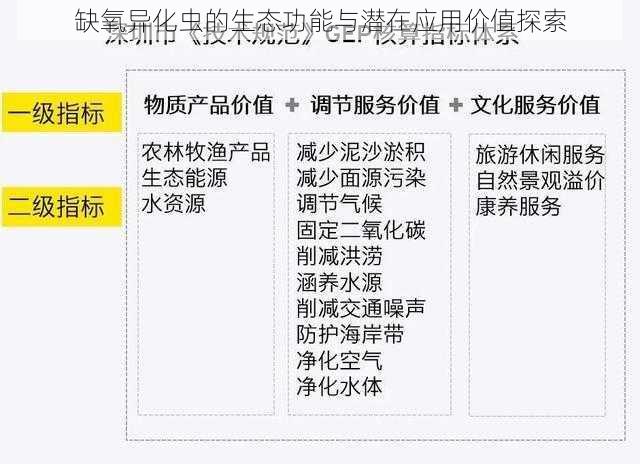 缺氧异化虫的生态功能与潜在应用价值探索