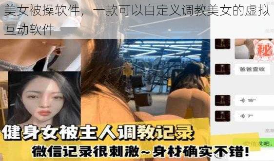 美女被操软件，一款可以自定义调教美女的虚拟互动软件