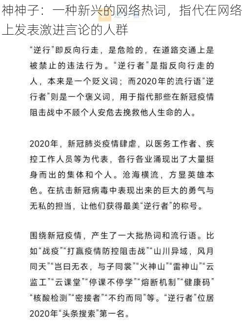 神神子：一种新兴的网络热词，指代在网络上发表激进言论的人群