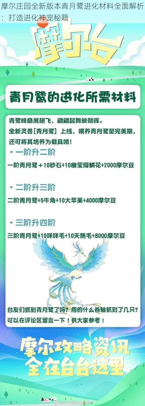 摩尔庄园全新版本青月鹭进化材料全面解析：打造进化神宠秘籍