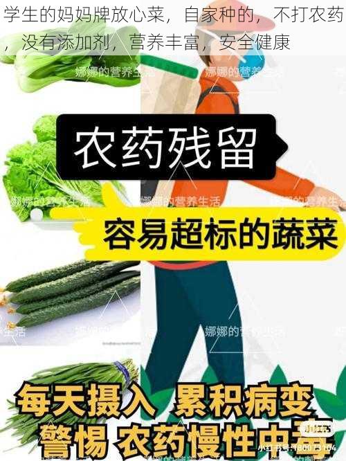 学生的妈妈牌放心菜，自家种的，不打农药，没有添加剂，营养丰富，安全健康