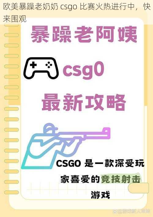 欧美暴躁老奶奶 csgo 比赛火热进行中，快来围观