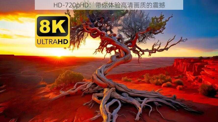 HD-720pHD：带你体验高清画质的震撼