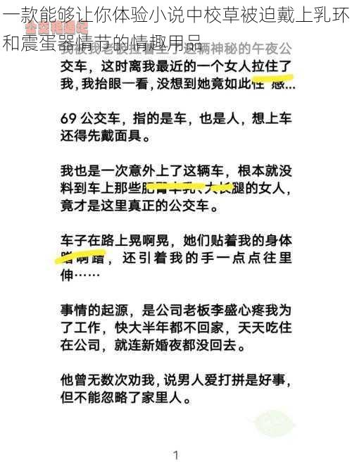 一款能够让你体验小说中校草被迫戴上乳环和震蛋器情节的情趣用品