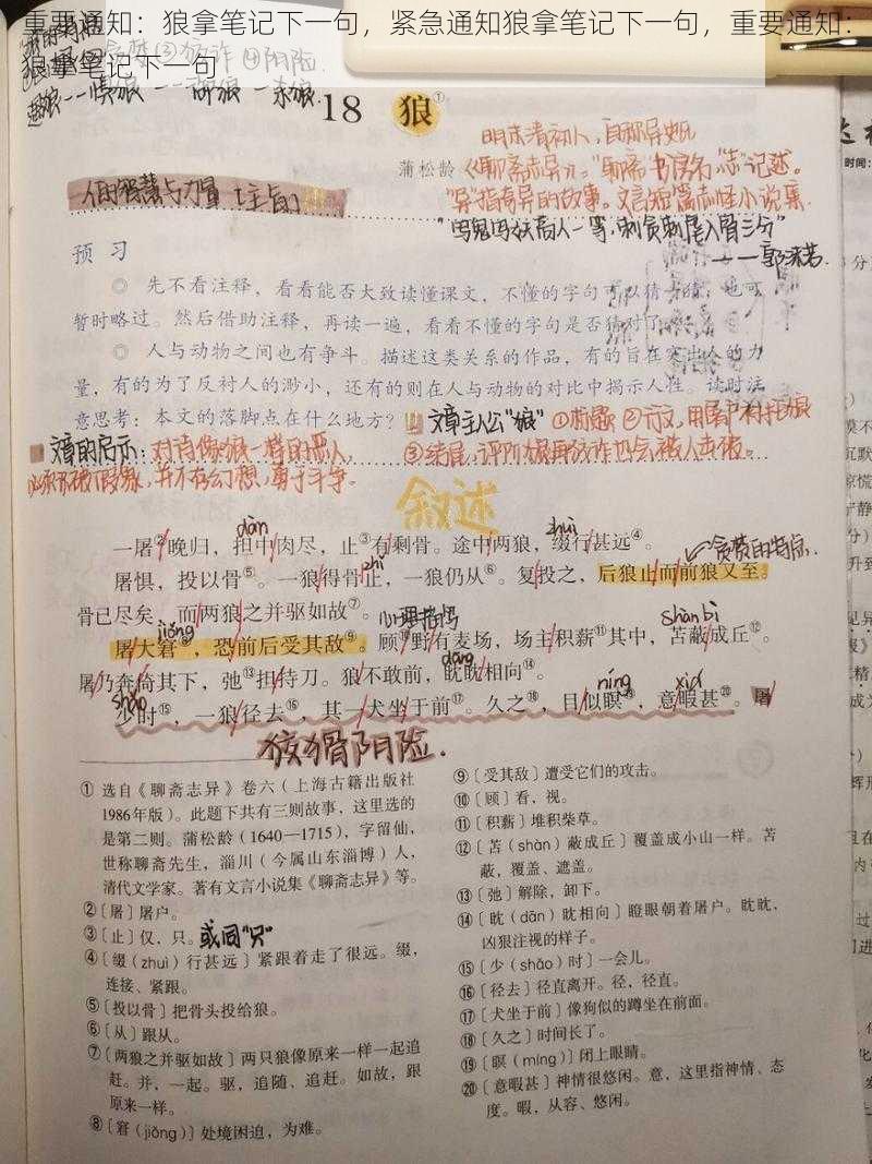 重要通知：狼拿笔记下一句，紧急通知狼拿笔记下一句，重要通知：狼拿笔记下一句