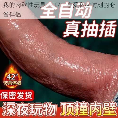 我的肉欲性玩具 1-17：享受私密时刻的必备伴侣