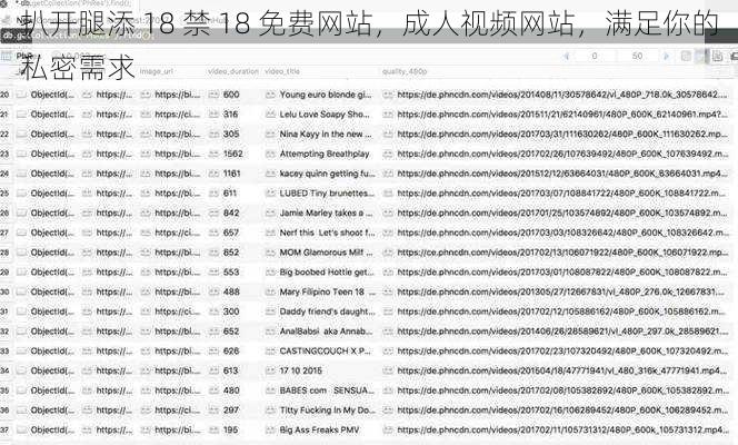 扒开腿添 18 禁 18 免费网站，成人视频网站，满足你的私密需求