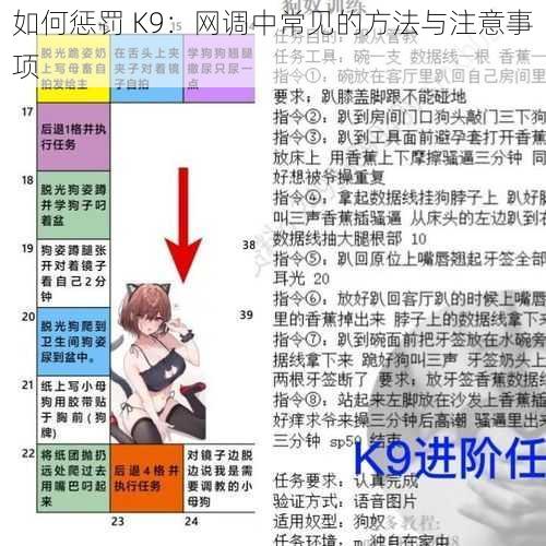 如何惩罚 K9：网调中常见的方法与注意事项