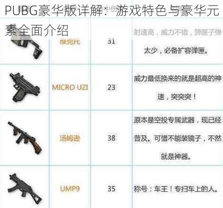 PUBG豪华版详解：游戏特色与豪华元素全面介绍