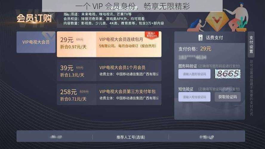 一个 VIP 会员身份，畅享无限精彩