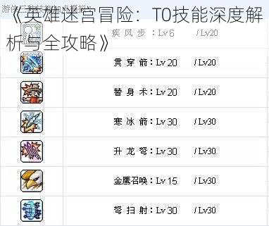 《英雄迷宫冒险：T0技能深度解析与全攻略》