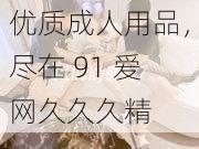 优质成人用品，尽在 91 爱网久久久精