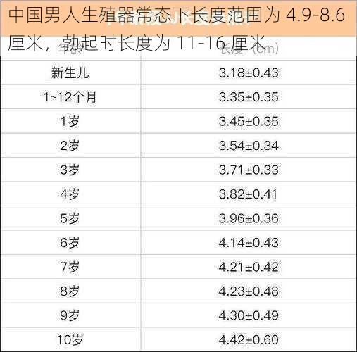 中国男人生殖器常态下长度范围为 4.9-8.6 厘米，勃起时长度为 11-16 厘米