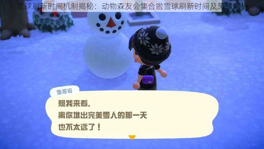 雪球刷新时间机制揭秘：动物森友会集合啦雪球刷新时间及策略解析