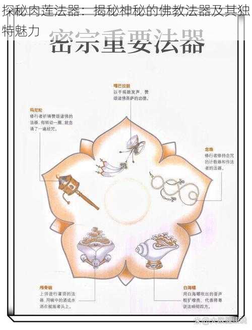 探秘肉莲法器：揭秘神秘的佛教法器及其独特魅力