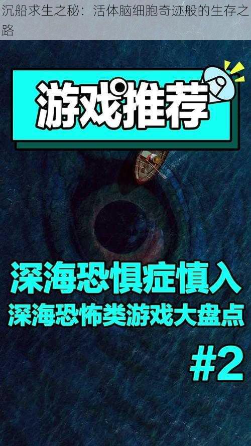 沉船求生之秘：活体脑细胞奇迹般的生存之路