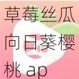 草莓丝瓜向日葵樱桃 app 视频，一款功能强大的视频播放应用