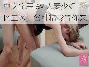 中文字幕 av 人妻少妇一区二区，各种精彩等你来