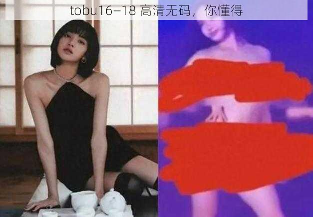 tobu16—18 高清无码，你懂得