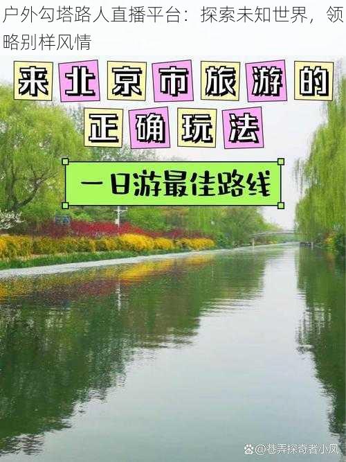 户外勾塔路人直播平台：探索未知世界，领略别样风情