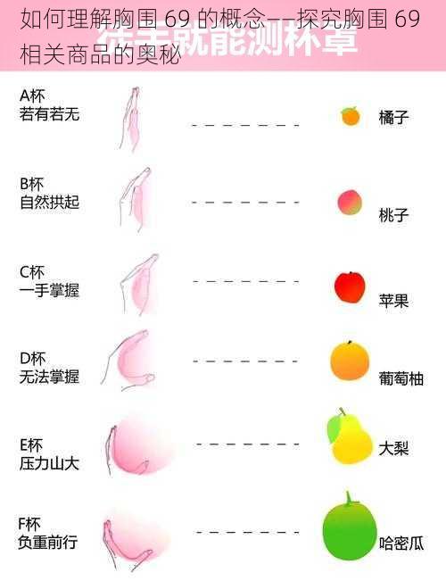 如何理解胸围 69 的概念——探究胸围 69 相关商品的奥秘